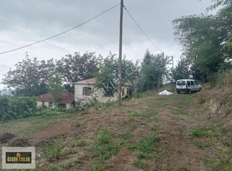 Özgür Emlak'tan Müstakil Satılık Ev Fındıklık Ve Çay Bahçesi