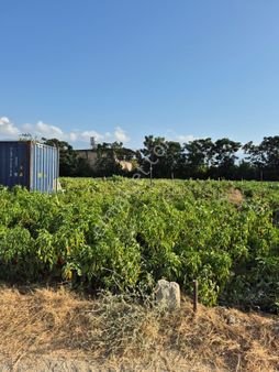 Elektirik Ve Su Anonesi Var Parselin İmara Açık