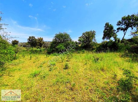 Muğla Milas Kuzyaka Mahallesi Satılık Tarla