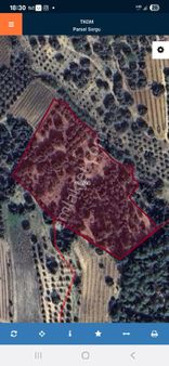 Ra Gayrimenkul Karadirlik Satılık Zeytin Bahçesi