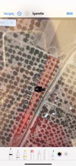 **malatya Akçadağ Ilıcakköyü 1625 M2