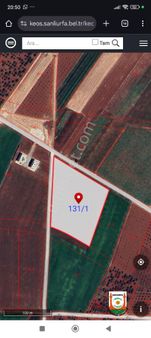 Asfalta Sıfır Tek Tapulu Verimli Tarla Satlıkta