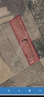 Yeşilyurt Kırkpınar Da Satlık Tarla 4 Da Satlık