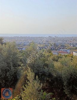 Kuşadasının İncisi Güzelçamlı Full Deniz Ve Doğa Manzaralı Arsa