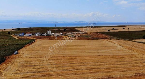 Seçil Bora'dan Satılık 3 Dönüm Tarla