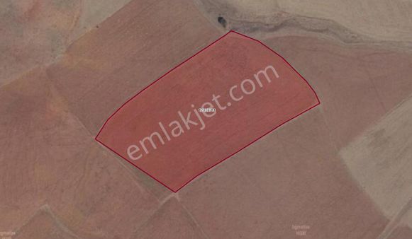 Recep Ümit Emlak'tan Kızılcaören'de Satılık 10,5 Dönüm Tarla