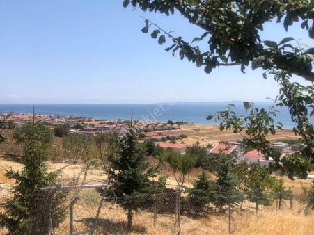 Şarköy De Işık Emlaktan İstiklal Mah De 286 M2 0/25 İmarlı Arsa