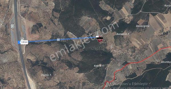 Bergama Zeytindağ Mahallesinde Çanakkale Yoluna Yakın Mesafede Satılık Zeytinlik