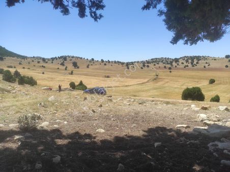 Mersin Silifke Yatırımlık Hobi Bahçesi Yapımına Uygun Tarla