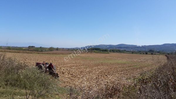 Sakarya-adapazarı-alandüzü 'de Satılık 43500 M2 Tarla