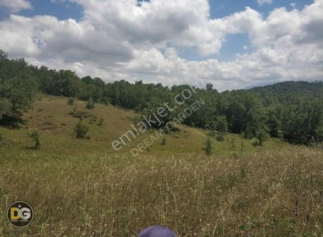 Bursa Kestel Nüshetiye Emsallerinin Altında Satılık Tarla