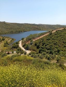 Seferi Hisar Ulamış Da İçinde Evi Olan 7841 M2 Tarla