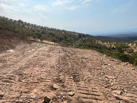 Ali Türk Gayrimenkulden Kumgedik Mahallesinde Satılık Tarla