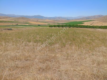 Kardelen Arsa Ve Emlak Ofisinde Satılık Tarla