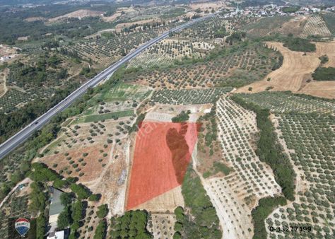 Kuşadası Yaylaköy'de 8 Dönüm Fırsat Tarla