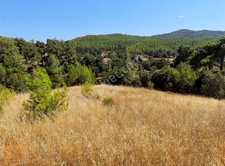 Muğla Ula Gölcük Mahalle'sinde Satılık Yatırımlık Tarla