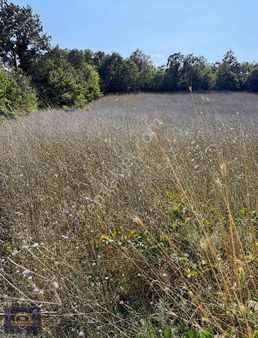 Bursa Mustafa Kemal Paşa Melik Köyde Satılık Tarla