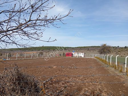 Yarımcada Satılık Kurulu Düzen Hobi Bahçesi