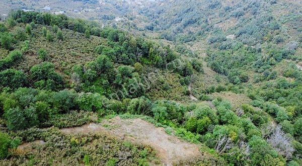 Mabel ,den Çaytepe Mh.bosta Mevkisinde Deniz Manzaralı Arsa ??