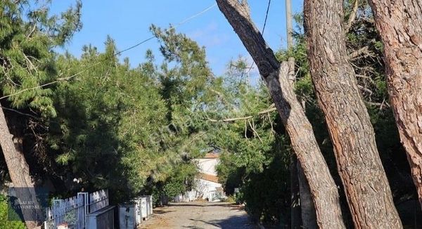 Lapseki Şevketiye Bozkent'te Satılık Arsa