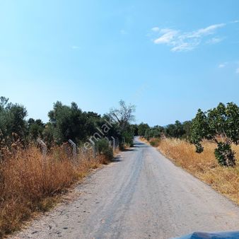 Torbalı Dirmilde Yol Kenarı Mükemmel Konumda Tarla
