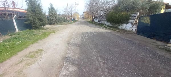 Akhisar Kayalıoğlun Da Satılık Kunut İmarlı 345 M2 Köşe Arsa 3.000.000 Tl