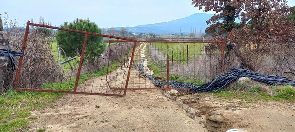 Aydın Emlak'tan Yatırımlık Tarla