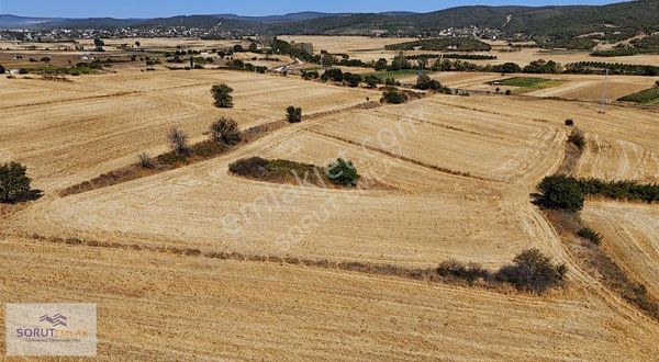 Mecidiye Sahil Yolu Üzerinde Satılık 5.800 M2 Tarla