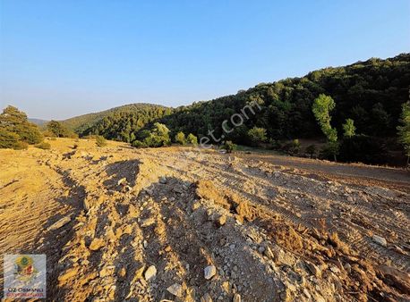 13.151 M2, Köye Yakın, % 5 İmarlı Çiftlik Arazisi (takasa Açık)