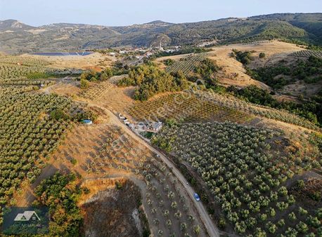 İznikte Muhteşem Göl Manzaralı Bahçe.