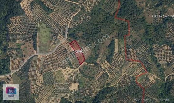 Dialog Adres'ten Bursa İznik Aydınlar'da Fırsat Satılık Tarla