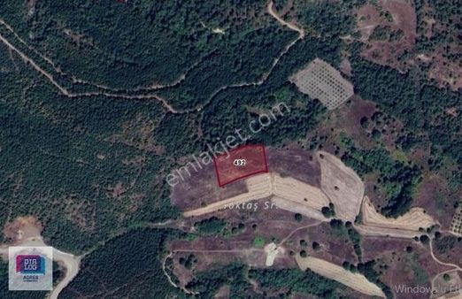 Dialog Adres'ten Bursa M.kemalpaşa Yenikızılelma'da Satılık Arsa