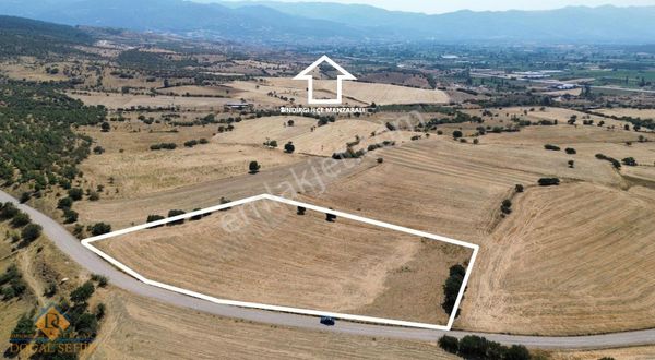 Doğal Şehir Emlak'tan Çaygören Mahallesin'de Satılık Tarla