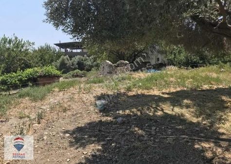 Aydın Söke Güllübahçe' De 608 M2 İmarlı Arsa