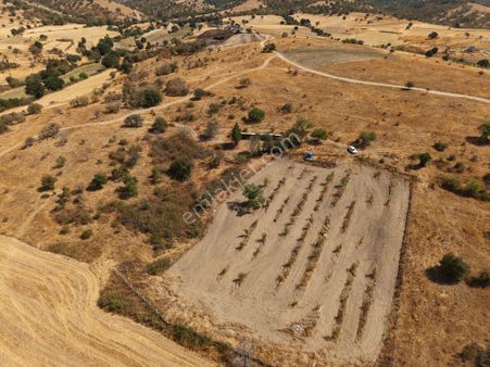 Mayadan Kırklareli Kofçaz Elmacık Köyünde 4.594 M2 Tarla