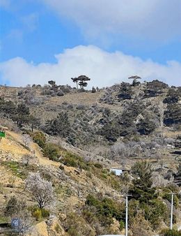 Yatırım Değeri Yüksek, Doğayla İç İçe Geniş Araziler