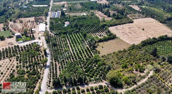Kaçırılmayacak Fırsat ! Çakırlar,zümrüt Mahallesi Satılık Arsa