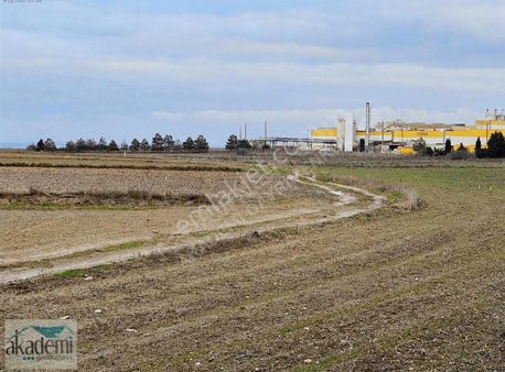 Saray Kurtdere Mahallesinde Ytong Fabrikası Arkasında 290 Metre
