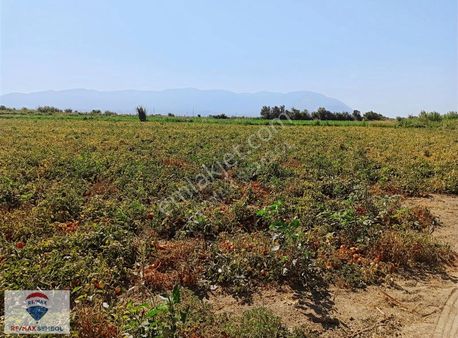 Turgutlu 9. Mıntıkada İki Parsel 13400 M² Satılık Tarla