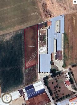 Tekirdağ Marmaraereğlisi Türkmenli 2428 M² Satılık Yatımlık Arsa