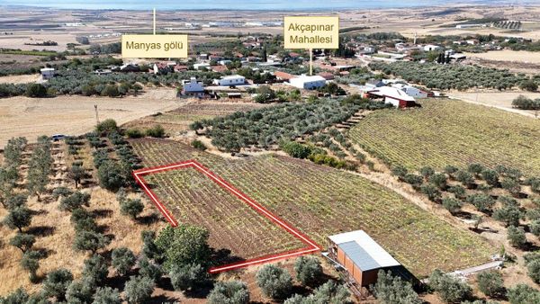 Remax Area'dan Manyas Gölü Manzaralı 779,23 M² Büyüklüğünde Satılık Bağ!