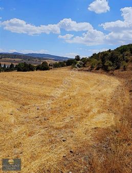 Kızılcahamam Çeştepede 9.800 M² Yatırıma Uygun, Verimli Tarla