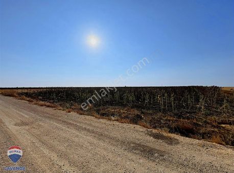 Ergene Osb'ye Sınır 23.600 M2 Yatırımlık Arazi