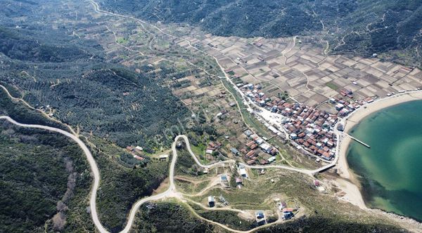 Resmi Yola Cephe! Erdek Ballıpınar'da 259 M2 Zeytinlik