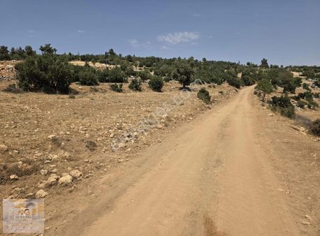 Gülnar Kuskon Mah'de Toplam 18.000m2 Acil Satılık Tarla