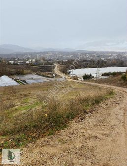 Yalova Merkez Kadıköy Fırsat Tarla!