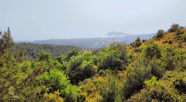 Kızılcaşehir'de Önü Kapanmaz Deniz, Kale Manzaralı Satılık Tarla