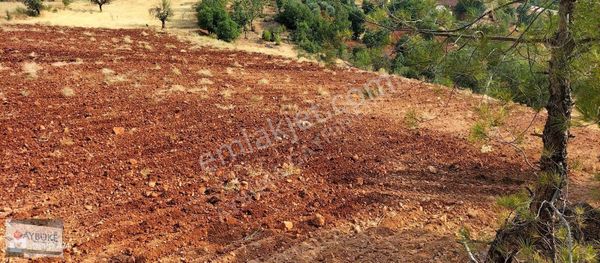 Denizli Beyağaç Da Fırsat Araziler