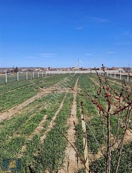 Kırklareli Merkez Kızılcıkdere Köyü Arsa