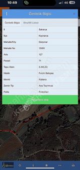 Çok Güzel Konunda Satılık Fındık Bahçesi